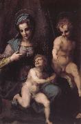 Andrea del Sarto Virgin Mary and Jeusu and John USA oil painting artist
